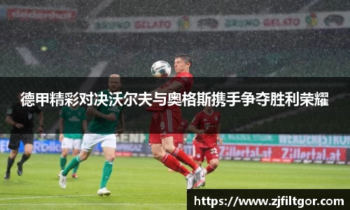bsports官网入口
