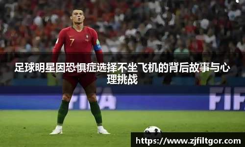 bsports官网入口